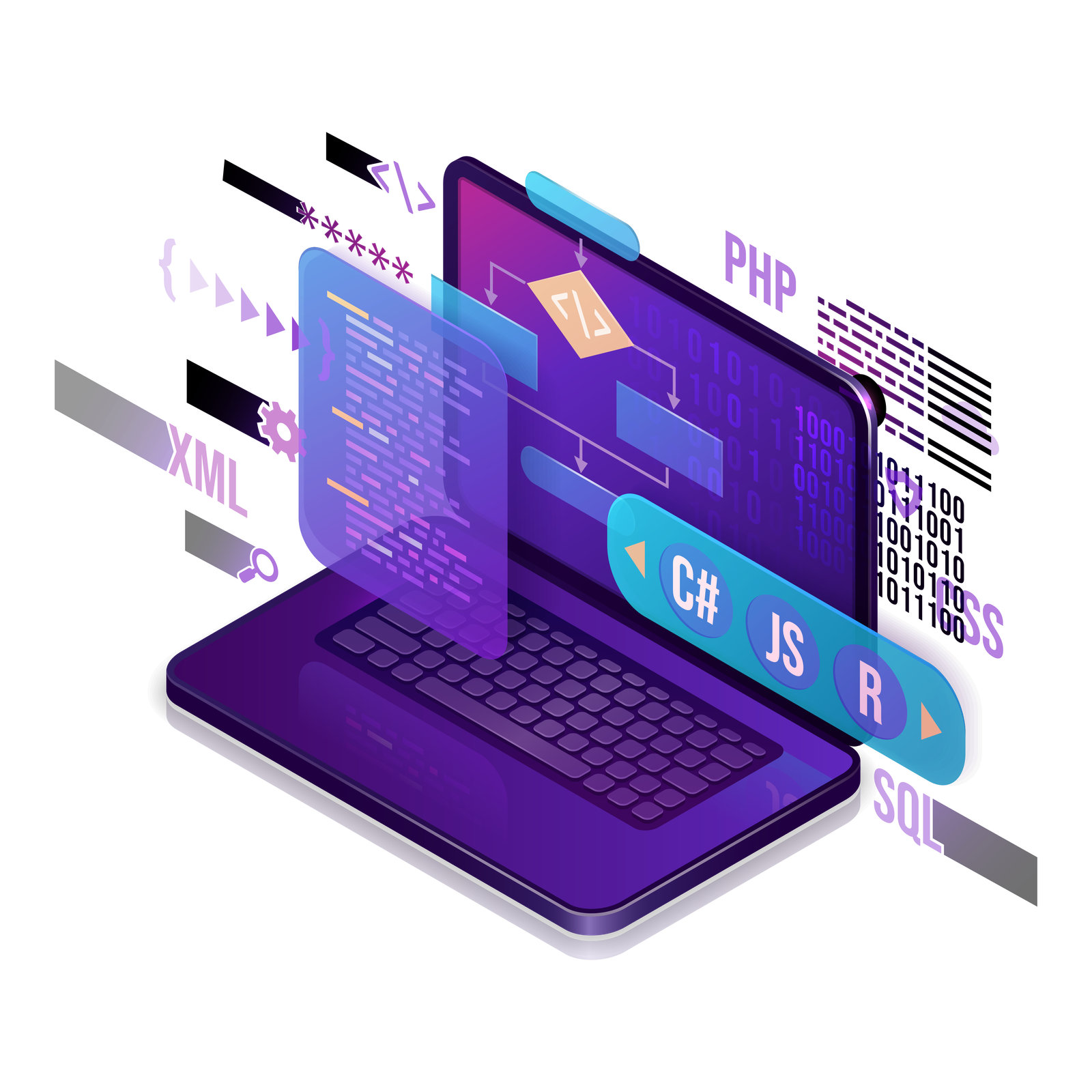 software devloper software devloper